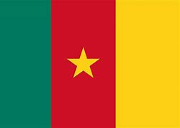 drapeau icon contact e-SAME Cameroun